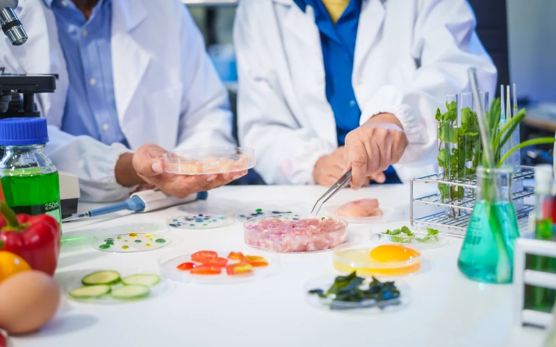 Scientists in lab coats analyzing food samples and ingredients in petri dishes during quality and safety testing in a laboratory.