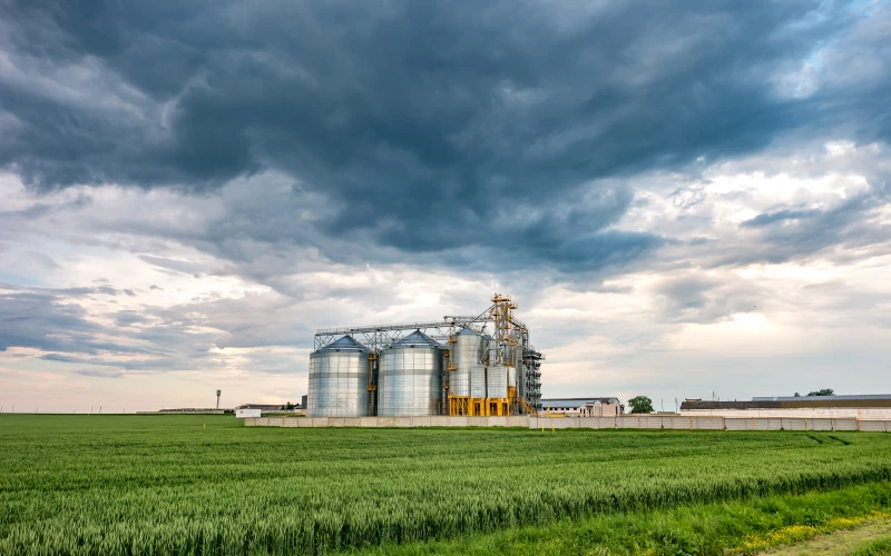 Large grain storage silos and processing facility located beside green farmland under a cloudy sky in an agricultural production area.