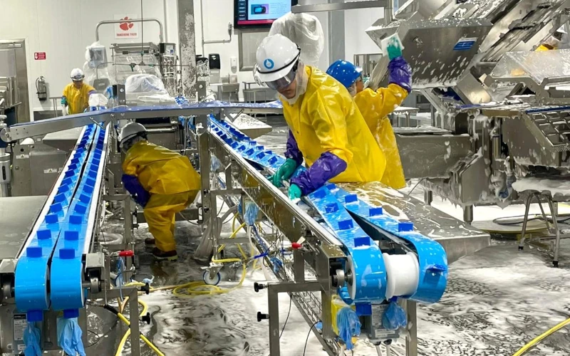 Sanitation workers in protective gear dismantling and cleaning conveyor systems with foam during conveyor stripping procedures in a food processing plant.
