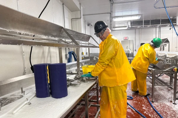 Food processing sanitation team performing an announced vs. unannounced audit preparation by cleaning and inspecting production equipment to support a strong food safety culture.